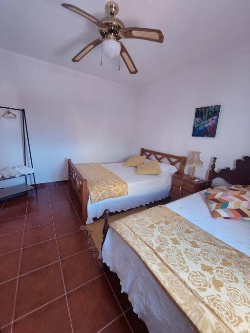 Casa Amarela - Praias Alqueva Povoa de Sao Miguel Exterior foto